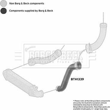 Borg & Beck BTH1339 - Трубка, нагнетание воздуха avtokuzovplus.com.ua