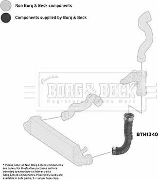 Borg & Beck BTH1340 - Трубка, нагнетание воздуха avtokuzovplus.com.ua