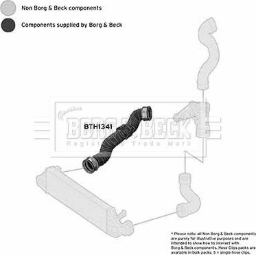 Borg & Beck BTH1341 - Трубка нагнітається повітря autocars.com.ua