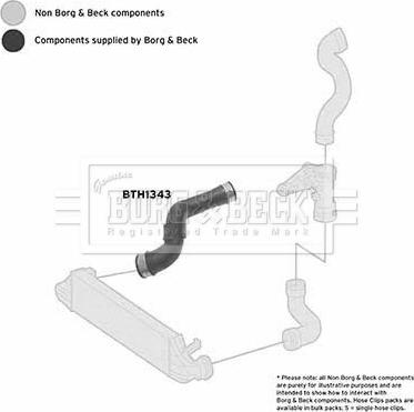 Borg & Beck BTH1343 - Трубка нагнітається повітря autocars.com.ua