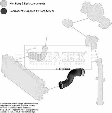 Borg & Beck BTH1344 - Трубка нагнітається повітря autocars.com.ua