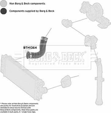 Borg & Beck BTH1364 - Трубка нагнітається повітря autocars.com.ua