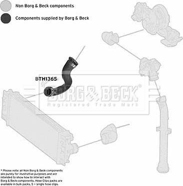 Borg & Beck BTH1365 - Трубка, нагнетание воздуха autodnr.net