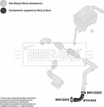 Borg & Beck BTH1402 - Трубка нагнітається повітря autocars.com.ua