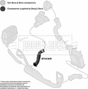 Borg & Beck BTH1419 - Трубка нагнітається повітря autocars.com.ua