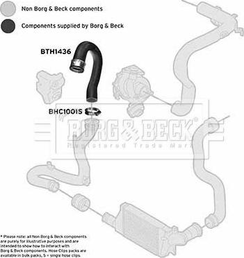 Borg & Beck BTH1436 - Трубка нагнітається повітря autocars.com.ua