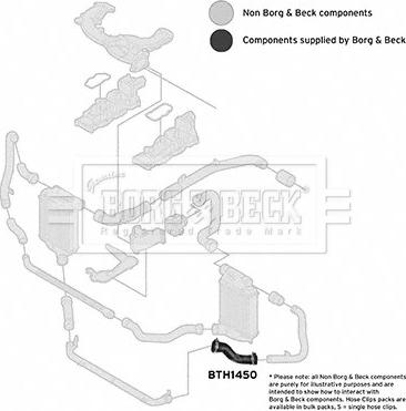 Borg & Beck BTH1450 - Трубка, нагнетание воздуха avtokuzovplus.com.ua