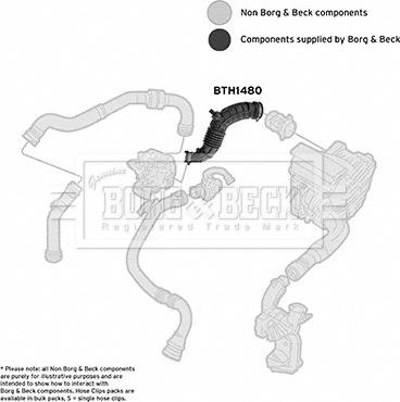 Borg & Beck BTH1480 - Рукав воздухозаборника, воздушный фильтр avtokuzovplus.com.ua