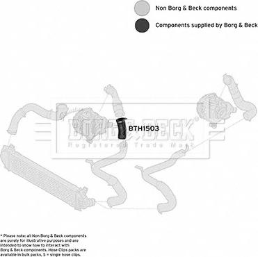 Borg & Beck BTH1503 - Трубка, нагнетание воздуха avtokuzovplus.com.ua