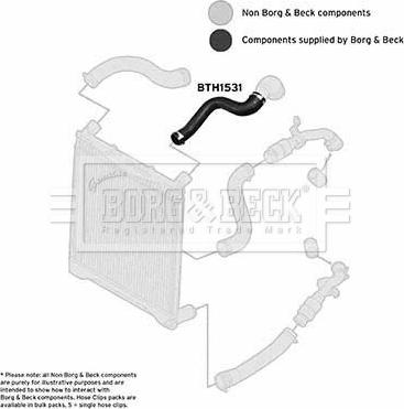 Borg & Beck BTH1531 - Трубка нагнітається повітря autocars.com.ua