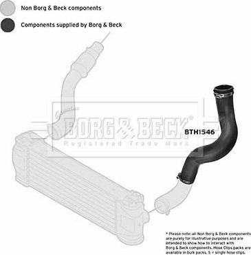 Borg & Beck BTH1546 - Трубка нагнітається повітря autocars.com.ua