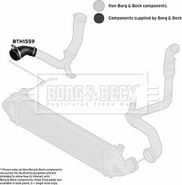 Borg & Beck BTH1559 - Трубка, нагнетание воздуха autodnr.net