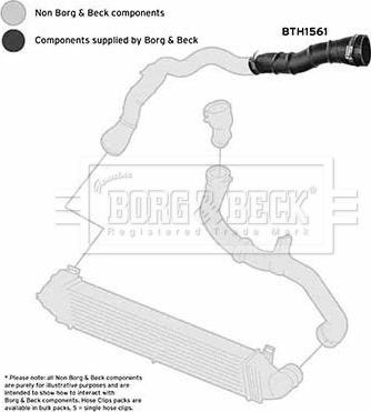 Borg & Beck BTH1561 - Трубка, нагнетание воздуха avtokuzovplus.com.ua