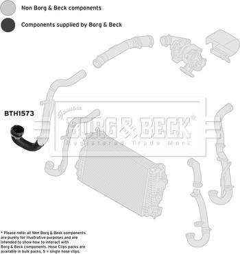 Borg & Beck BTH1573 - Трубка нагнітається повітря autocars.com.ua