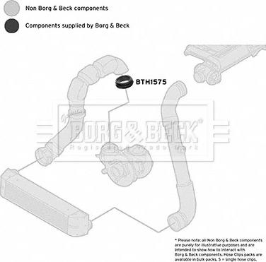 Borg & Beck BTH1575 - Трубка нагнітається повітря autocars.com.ua