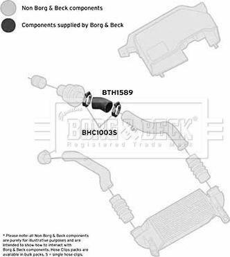 Borg & Beck BTH1589 - Трубка нагнітається повітря autocars.com.ua