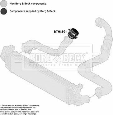 Borg & Beck BTH1591 - Трубка, нагнетание воздуха avtokuzovplus.com.ua