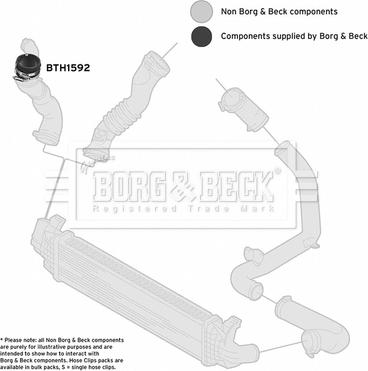 Borg & Beck BTH1592 - Трубка, нагнетание воздуха avtokuzovplus.com.ua