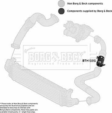 Borg & Beck BTH1595 - Трубка, нагнетание воздуха avtokuzovplus.com.ua