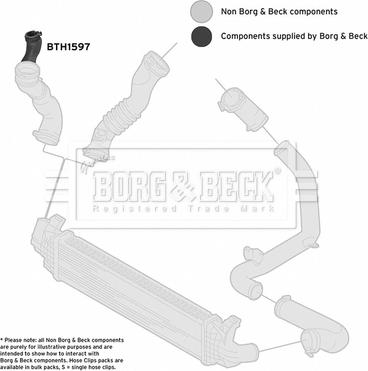 Borg & Beck BTH1597 - Трубка, нагнетание воздуха avtokuzovplus.com.ua