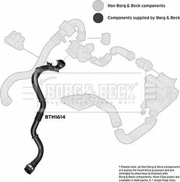 Borg & Beck BTH1614 - Трубка нагнітається повітря autocars.com.ua