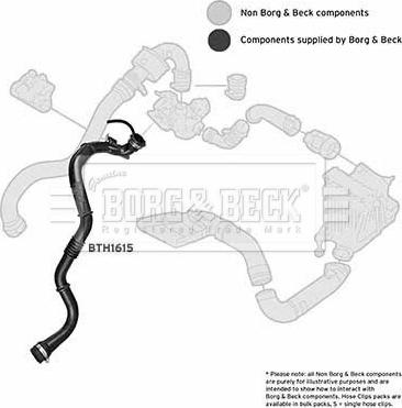 Borg & Beck BTH1615 - Трубка нагнітається повітря autocars.com.ua