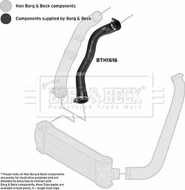 Borg & Beck BTH1616 - Трубка, нагнетание воздуха avtokuzovplus.com.ua