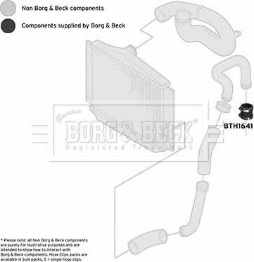 Borg & Beck BTH1641 - Трубка нагнітається повітря autocars.com.ua
