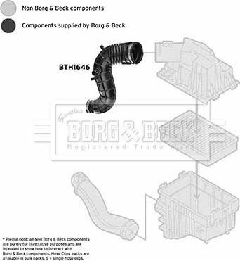 Borg & Beck BTH1646 - Рукав воздухозаборника, воздушный фильтр avtokuzovplus.com.ua