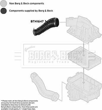 Borg & Beck BTH1647 - Рукав повітрозабірника, повітряний фільтр autocars.com.ua