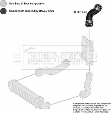 Borg & Beck BTH1661 - Трубка нагнітається повітря autocars.com.ua