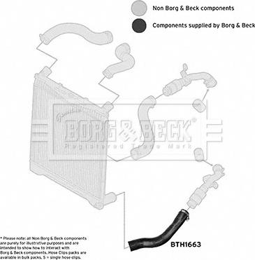 Borg & Beck BTH1663 - Трубка, нагнетание воздуха avtokuzovplus.com.ua