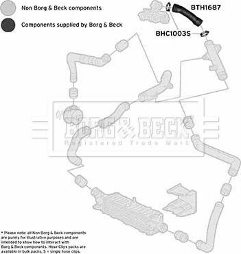 Borg & Beck BTH1687 - Трубка, нагнетание воздуха avtokuzovplus.com.ua