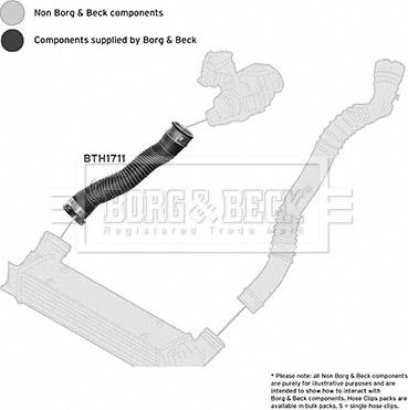 Borg & Beck BTH1711 - Трубка нагнітається повітря autocars.com.ua