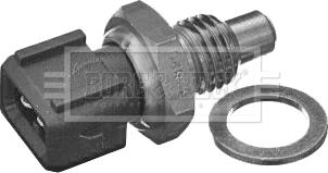 Borg & Beck BTS3050 - Датчик, температура охолоджуючої рідини autocars.com.ua