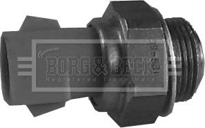 Borg & Beck BTS824.95 - Термовимикач, вентилятор радіатора / кондиціонера autocars.com.ua