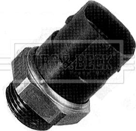 Borg & Beck BTS894.95 - Термовимикач, вентилятор радіатора / кондиціонера autocars.com.ua