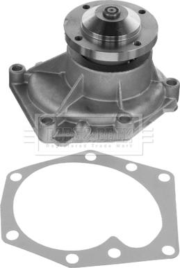 Borg & Beck BWP32695 - Водяний насос autocars.com.ua