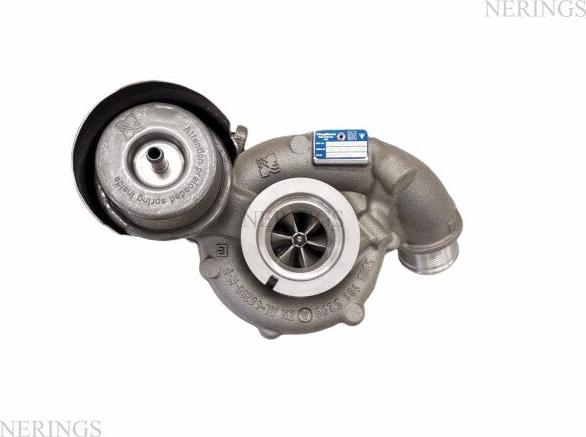 BorgWarner 53039700556 - Компресор, наддув autocars.com.ua