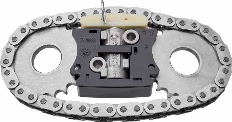 BorgWarner 59007150000 - Комплект ланцюга приводу распредвала autocars.com.ua