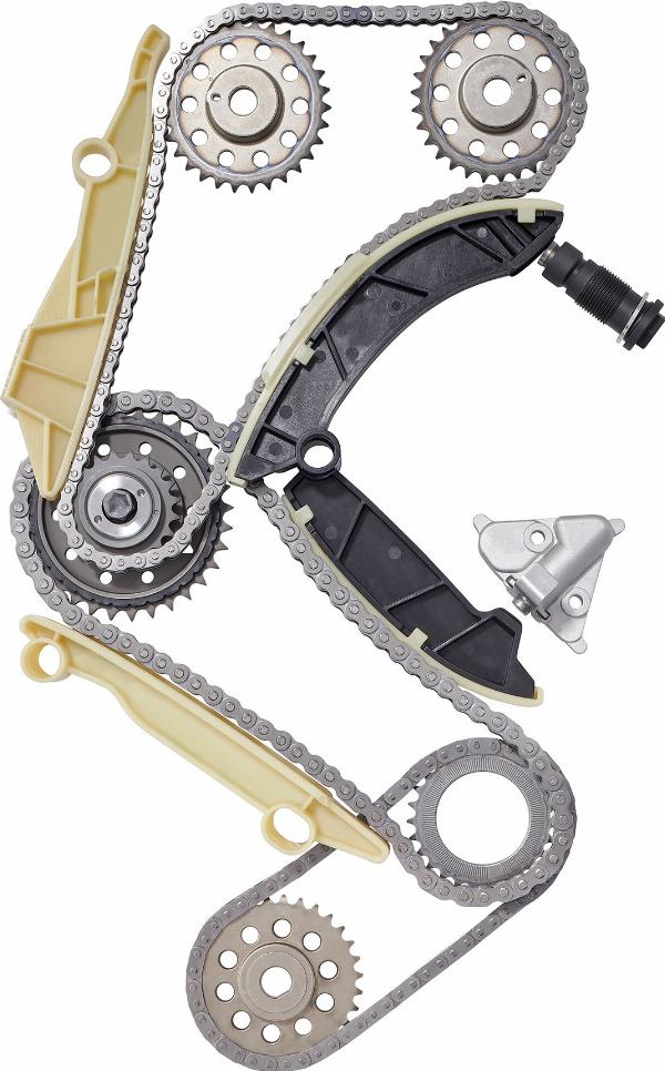 BorgWarner 59007150015 - Комплект ланцюга приводу распредвала autocars.com.ua