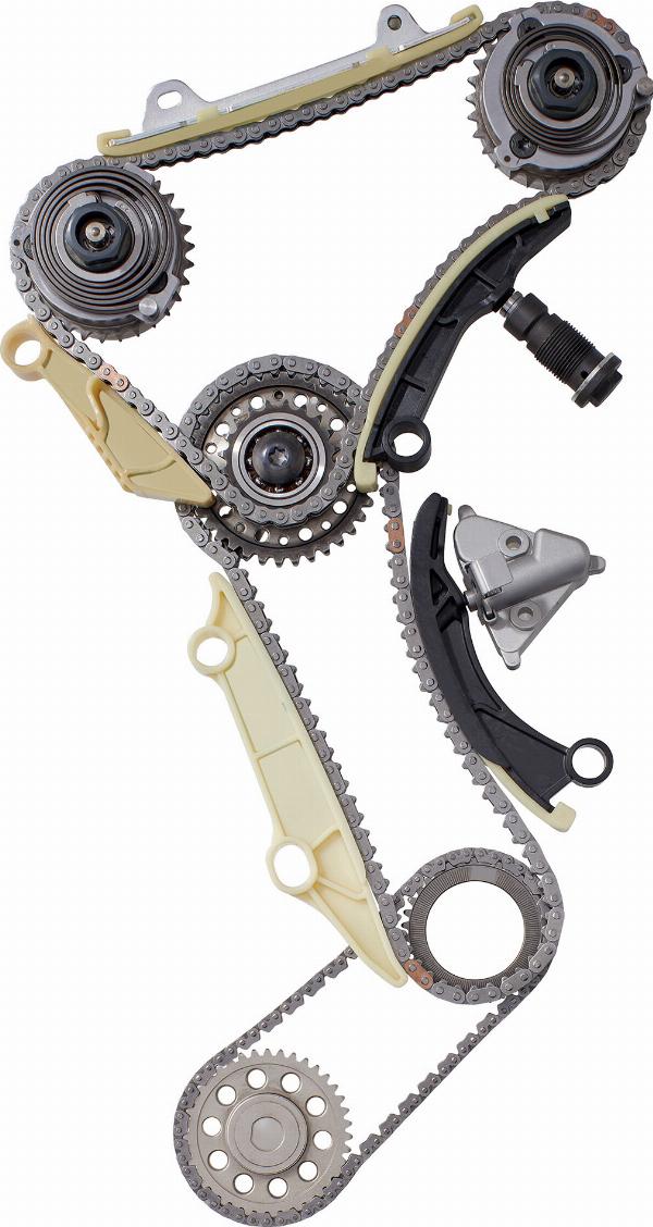 BorgWarner 59007150016 - Комплект ланцюга приводу распредвала autocars.com.ua