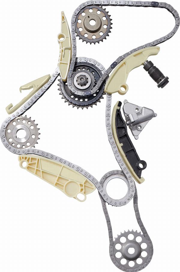 BorgWarner 59007150017 - Комплект ланцюга приводу распредвала autocars.com.ua