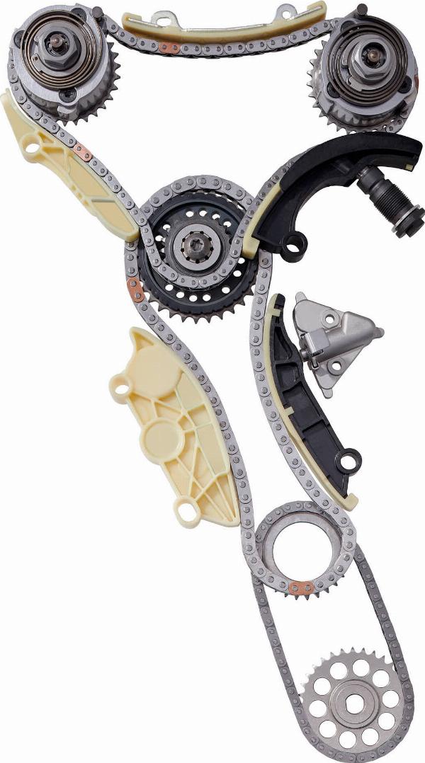 BorgWarner 59007150018 - Комплект ланцюга приводу распредвала autocars.com.ua