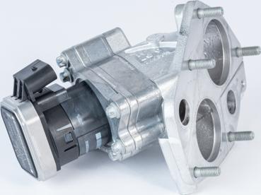 BorgWarner 710072D - Клапан повернення ОГ autocars.com.ua