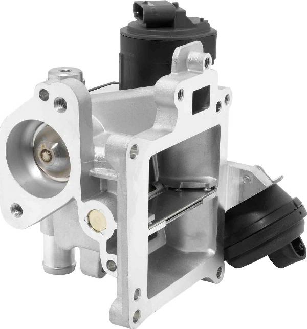 BorgWarner 710488D0 - Клапан повернення ОГ autocars.com.ua