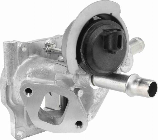 BorgWarner 710532D0 - Клапан повернення ОГ autocars.com.ua