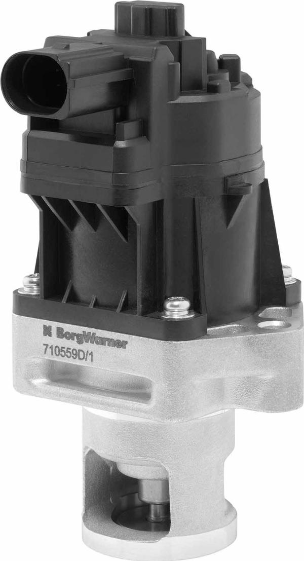 BorgWarner 710559D/1 - Клапан повернення ОГ autocars.com.ua