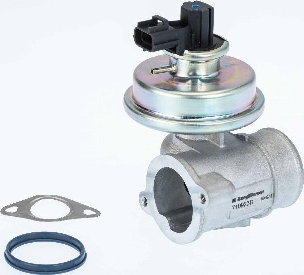 BorgWarner 710923D - Клапан повернення ОГ autocars.com.ua