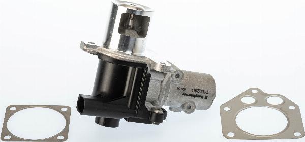 BorgWarner 710928D - Клапан повернення ОГ autocars.com.ua